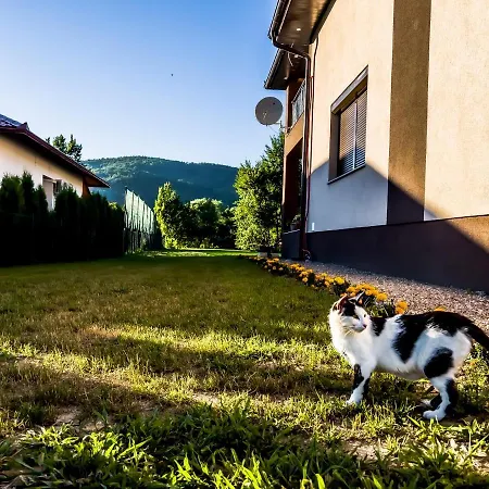 Vila Daman Bihac